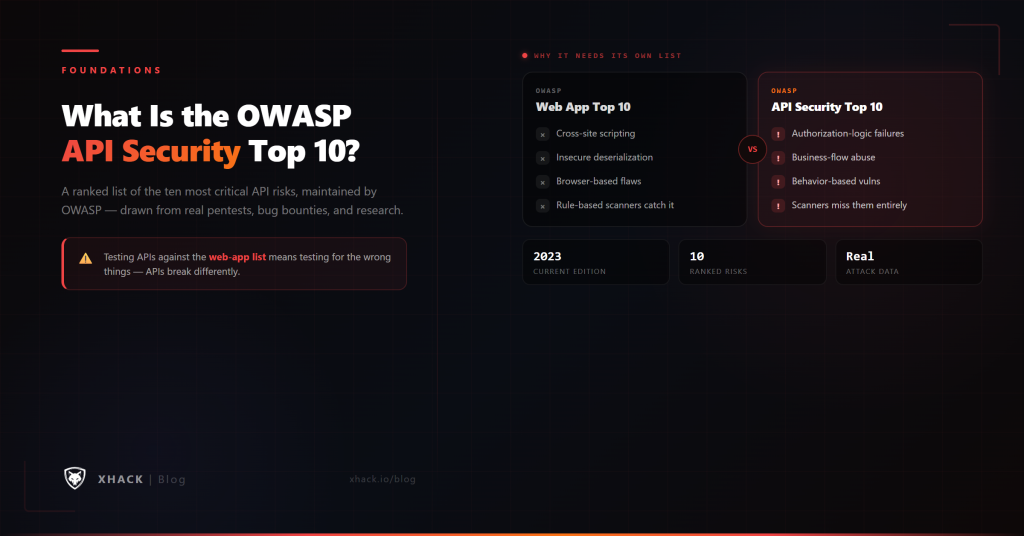 What Is the OWASP API Security Top 10?