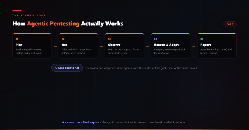 How agentic pentesting works: the plan, act, observe, reason, adapt, and report loop driven by coordinated AI agents
