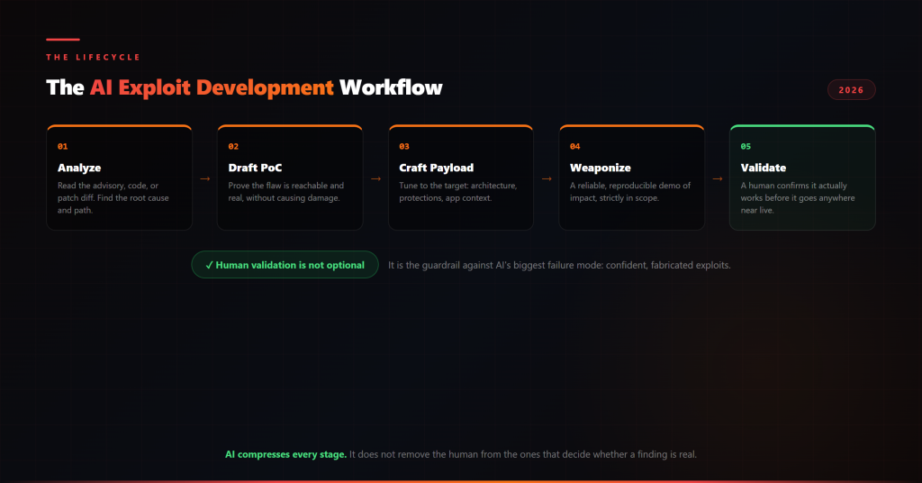 The five-stage AI exploit development lifecycle, with human validation as the essential final guardrail The AI exploit development lifecycle: vulnerability analysis, proof-of-concept creation, payload crafting, weaponization, and human validation